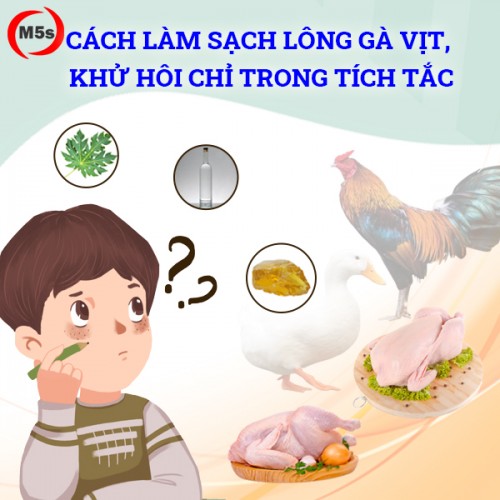 Cách làm sạch lông gà vịt