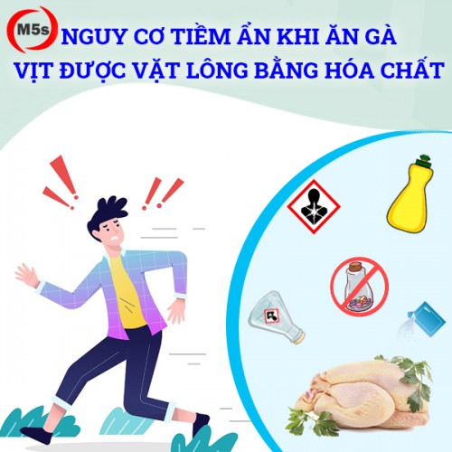 Gà vịt được vặt lông bằng hóa chất