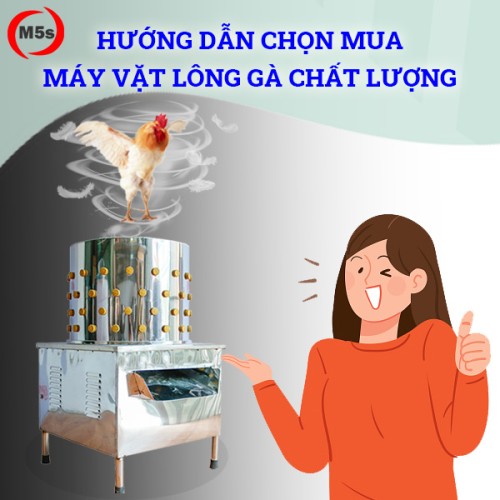 Hướng dẫn cách chọn máy vặt lông gà chất lượng