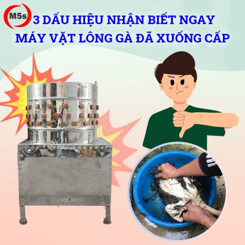 Dấu hiệu nhận biết máy vặt lông gà đã xuống cấp