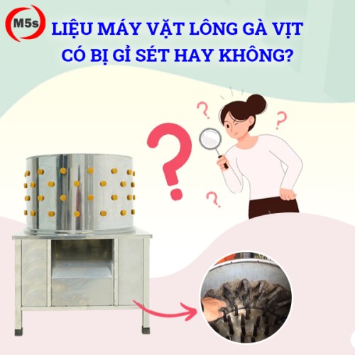 may-vat-long-ga-vit-co-bi-gi-set-khong