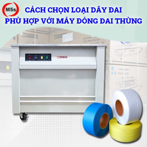 Hướng dẫn chọn dây đai cho máy đóng đai thùng