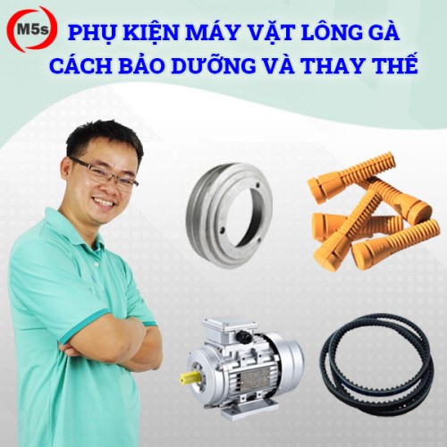 Phụ kiện máy vặt lông gà