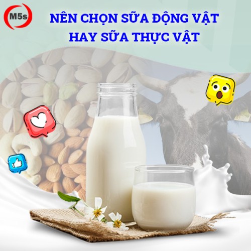 Sữa thực vật và sữa động vật, lựa chọn nào tốt hơn?