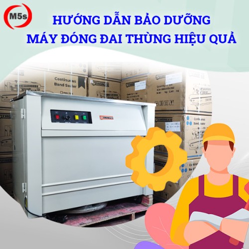 Hướng dẫn bảo dưỡng máy đóng đai thùng