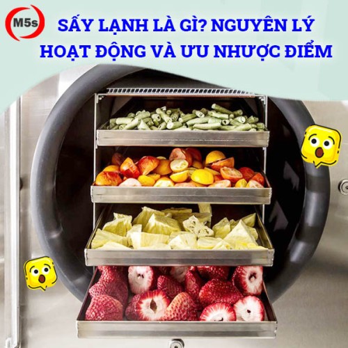 Sấy lạnh là gì? Tìm hiểu nguyên lý và ưu nhược điểm