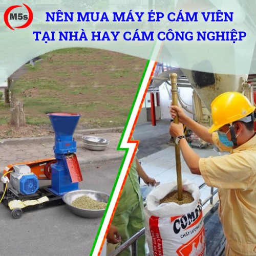 Nên mua máy ép cám viên tại nhà hay mua cám công nghiệp