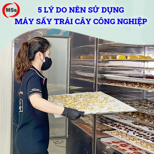 Lý do nên sử dụng máy sấy trái cây công nghiệp