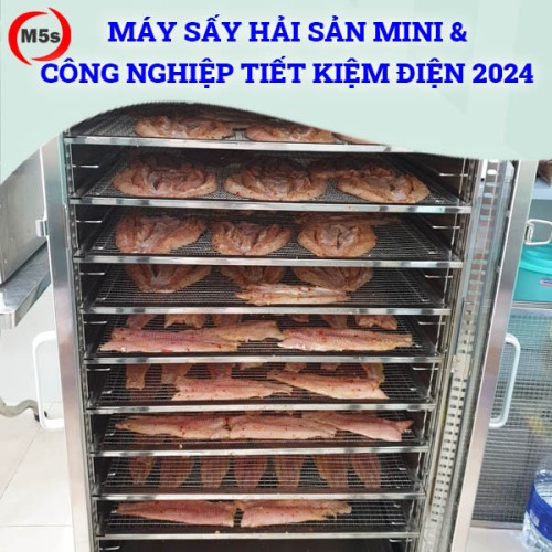 Máy sấy hải sản mini và công nghiệp tiết kiệm điện 2025