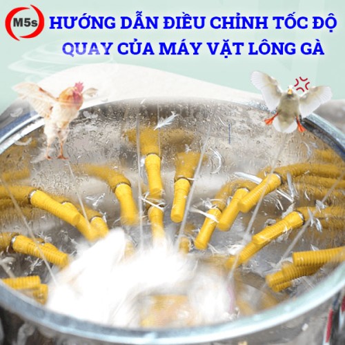 Hướng dẫn cách tăng/giảm tốc độ quay của máy vặt lông gà
