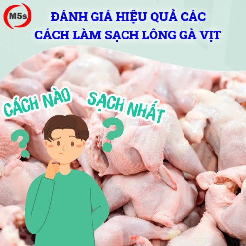 danh-gia-hieu-qua-cac-phuong-phap-lam-sach-long-ga-vit