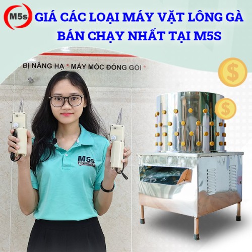 Bảng giá các dòng máy vặt lông gà bán chạy nhất tại M5s