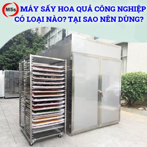 Máy sấy hoa quả công nghiệp gồm những loại nào? Tại sao nên dùng?