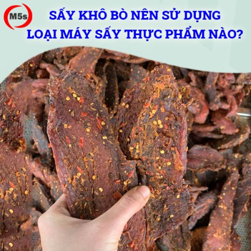 Sấy khô bò nên sử dụng loại máy sấy thực phẩm nào?