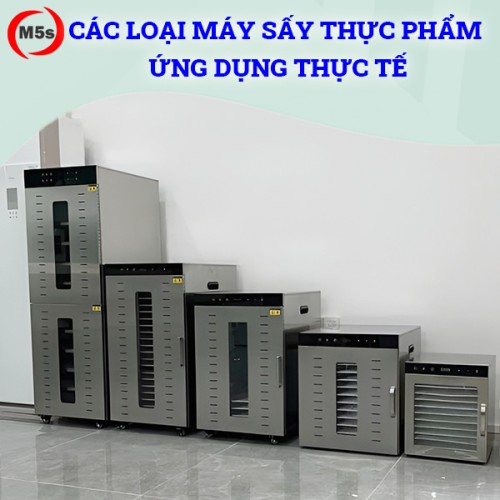 Máy sấy thực phẩm gồm mấy loại? Ứng dụng thực tế