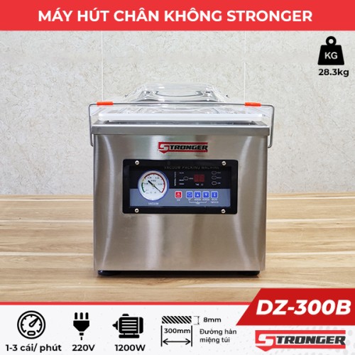 Máy hút chân không công nghiệp DZ-300B