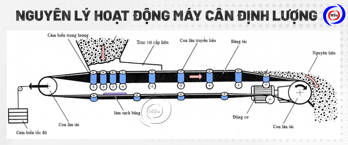 nguyên lý hoạt động máy cân định lượng