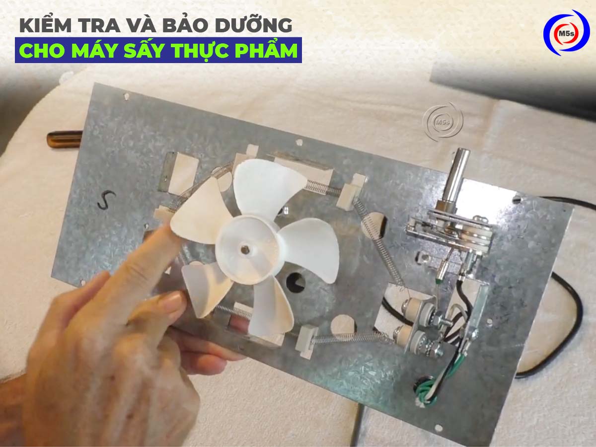 Kiểm tra và bảo dưỡng máy sấy thực phẩm