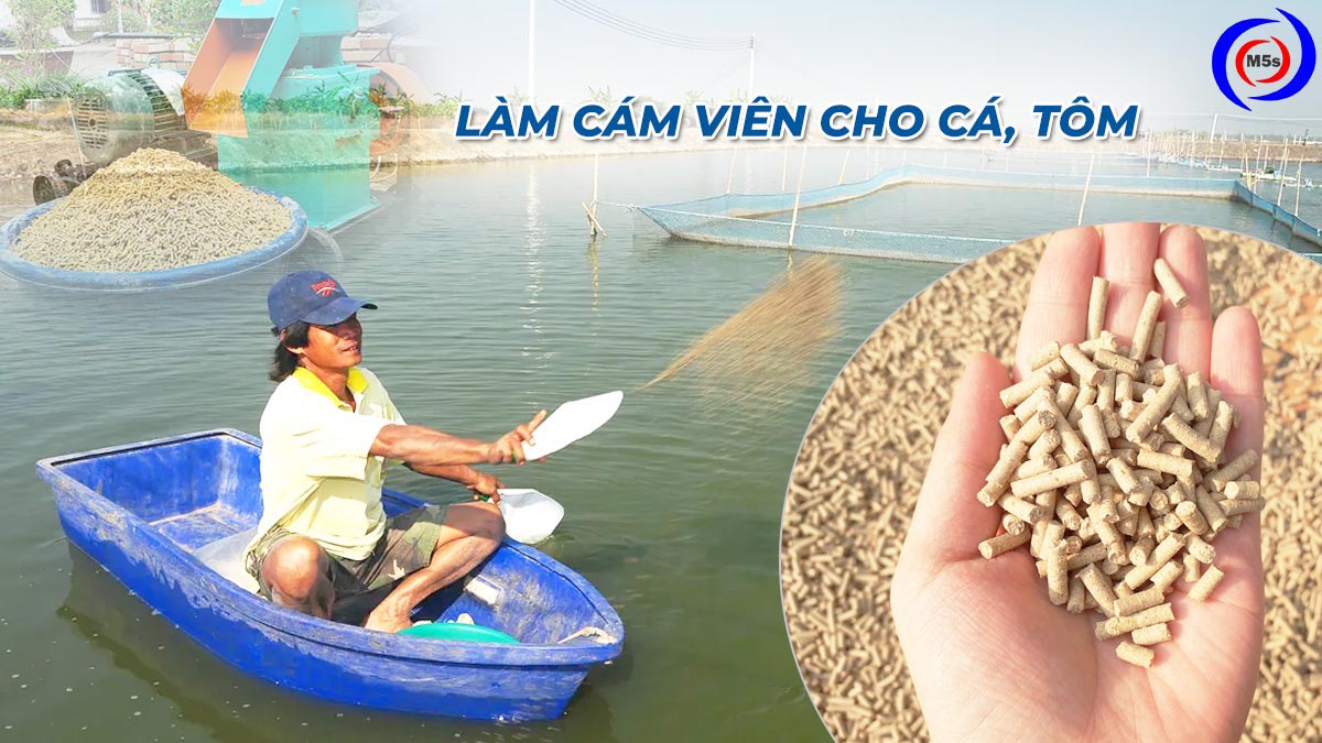 Cách làm cám viên cho cá, tôm