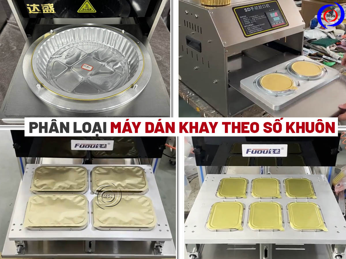 chọn máy dán miệng khay theo số lượng khuôn chọn máy dán miệng khay theo số lượng khuôn