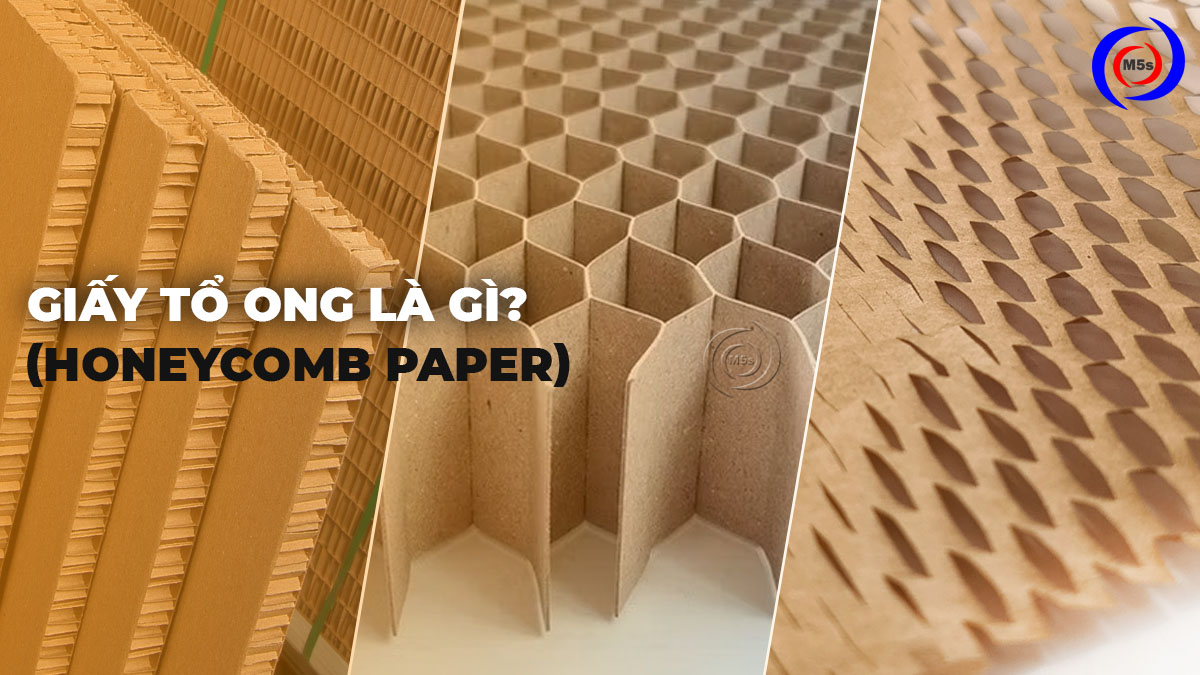 Giấy tổ ong (Honeycomb Paper) là gì?