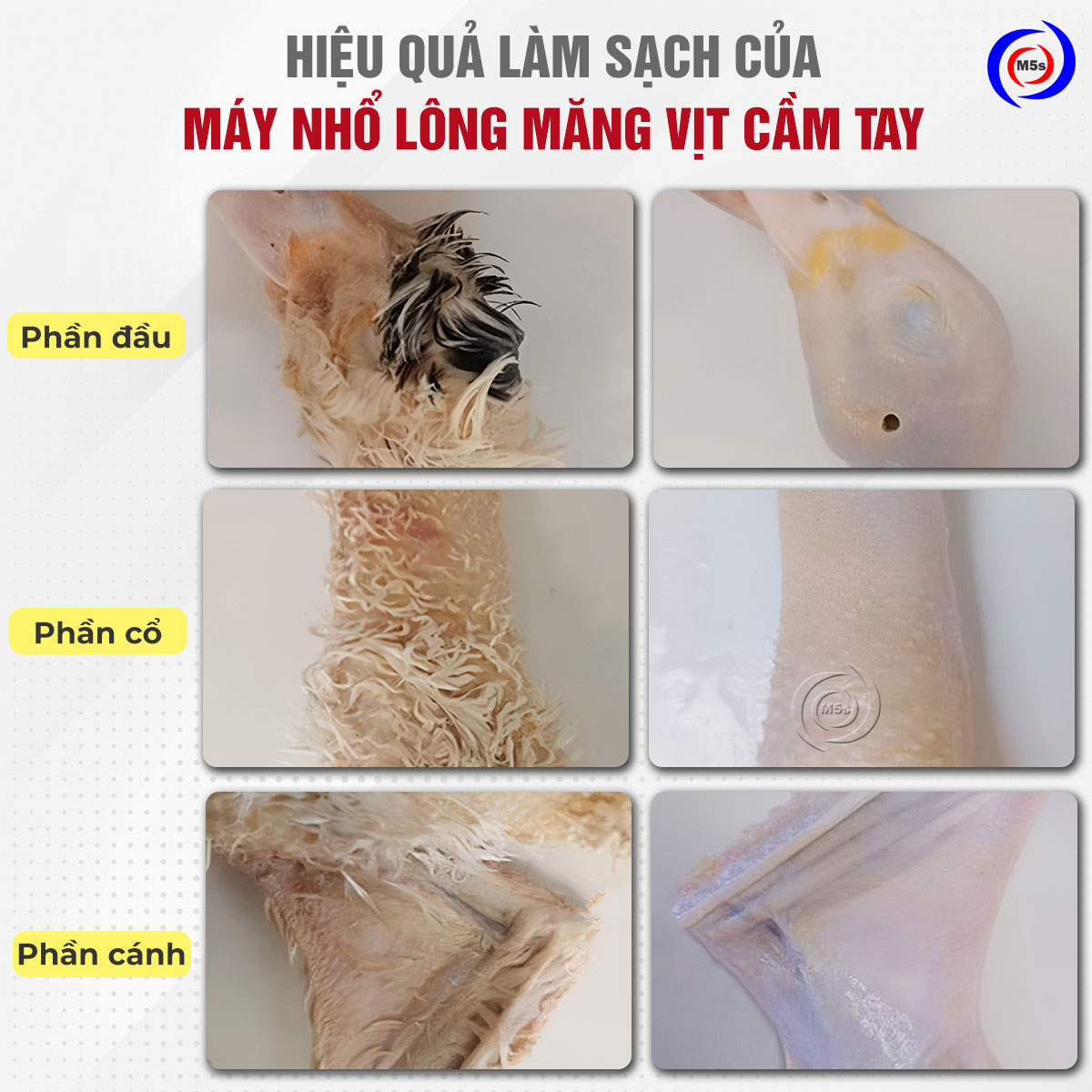 Hiệu quả làm sạch của máy nhổ lông măng vịt cầm tay