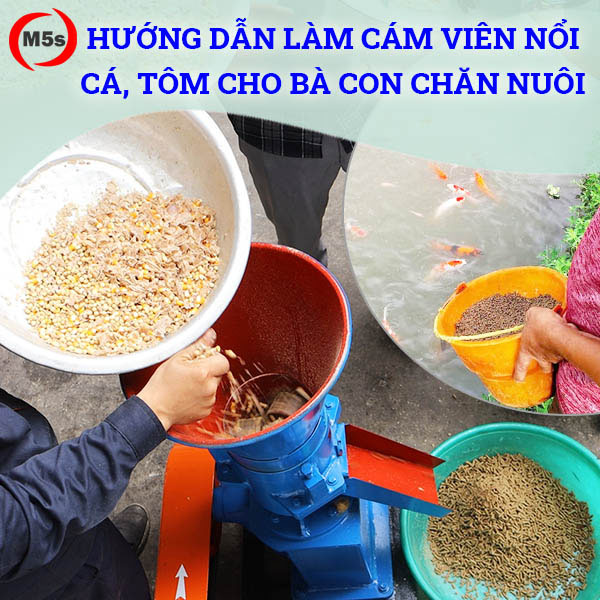 Hướng dẫn làm cám viên cá, tôm