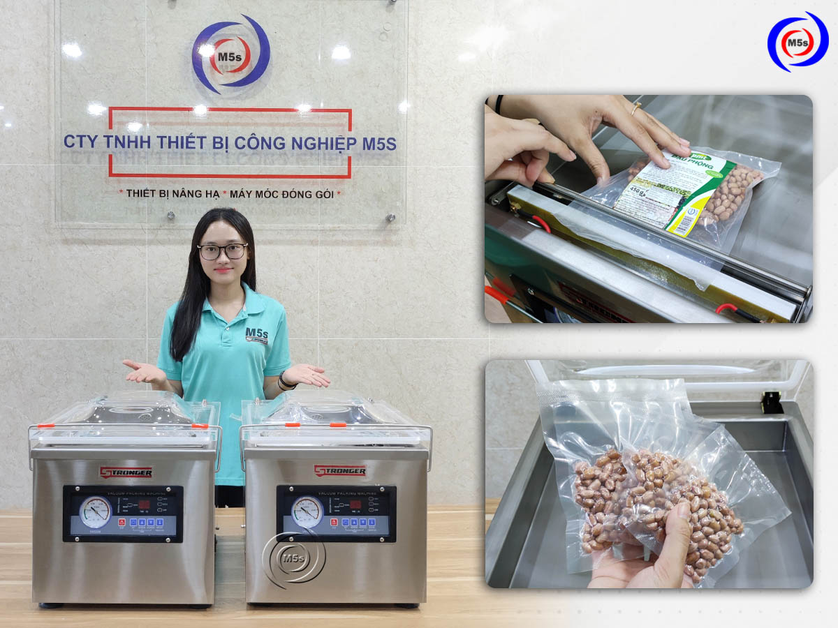 Máy hút chân không công nghiệp DZ-300B Máy hút chân không công nghiệp DZ-300B