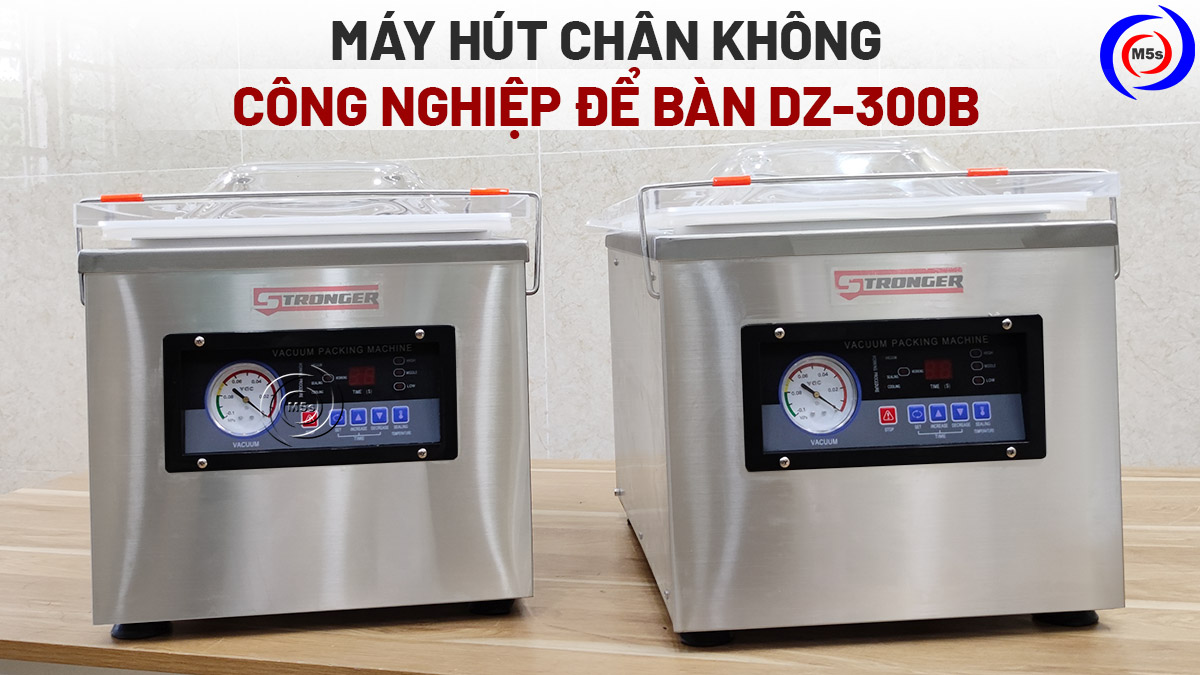 máy hút chân không để bàn DZ-300B