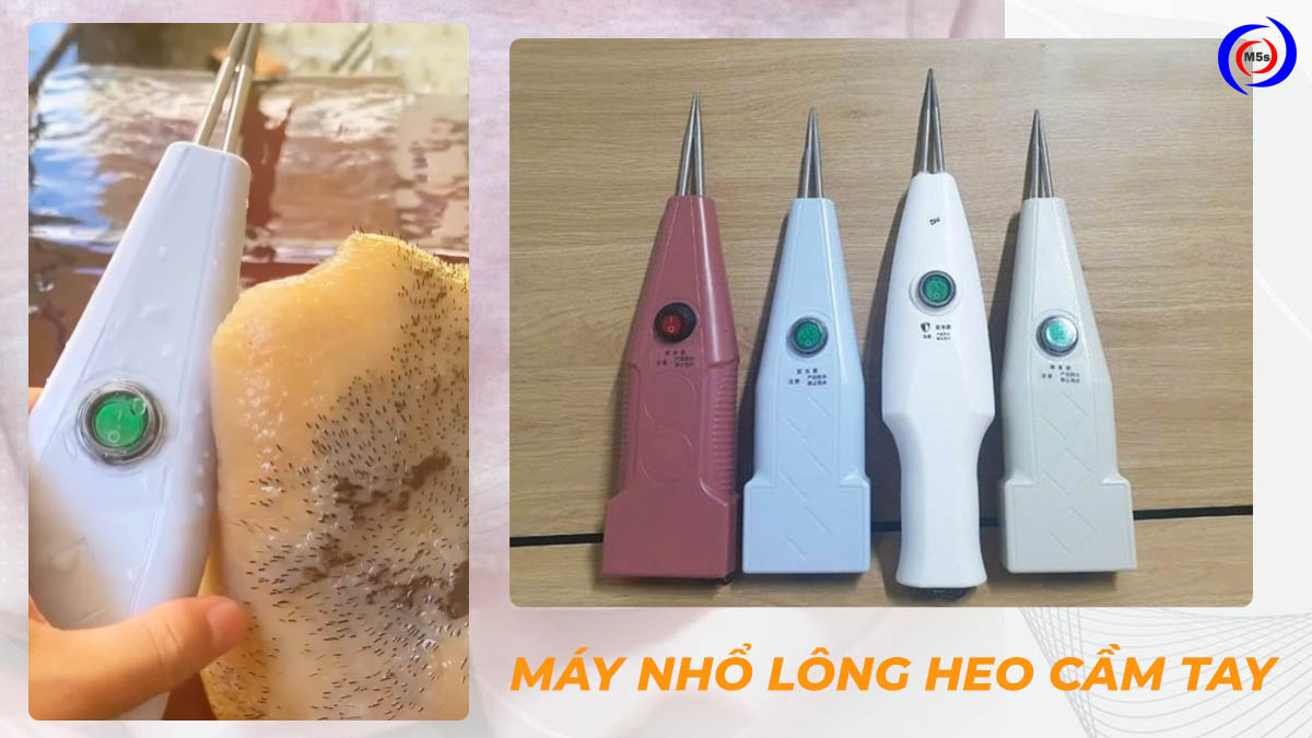 Máy nhổ lông heo 