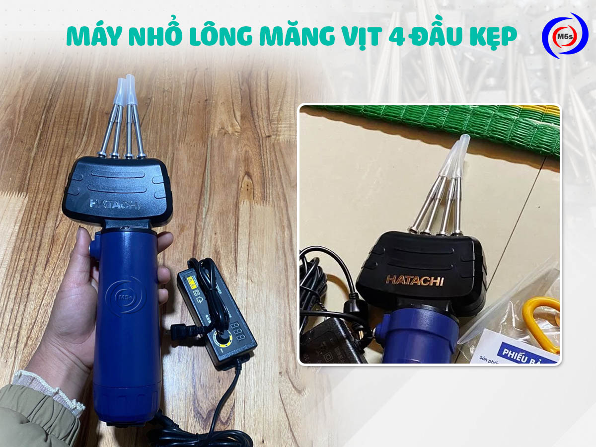 Máy nhổ lông măng vịt 4 đầu kẹp