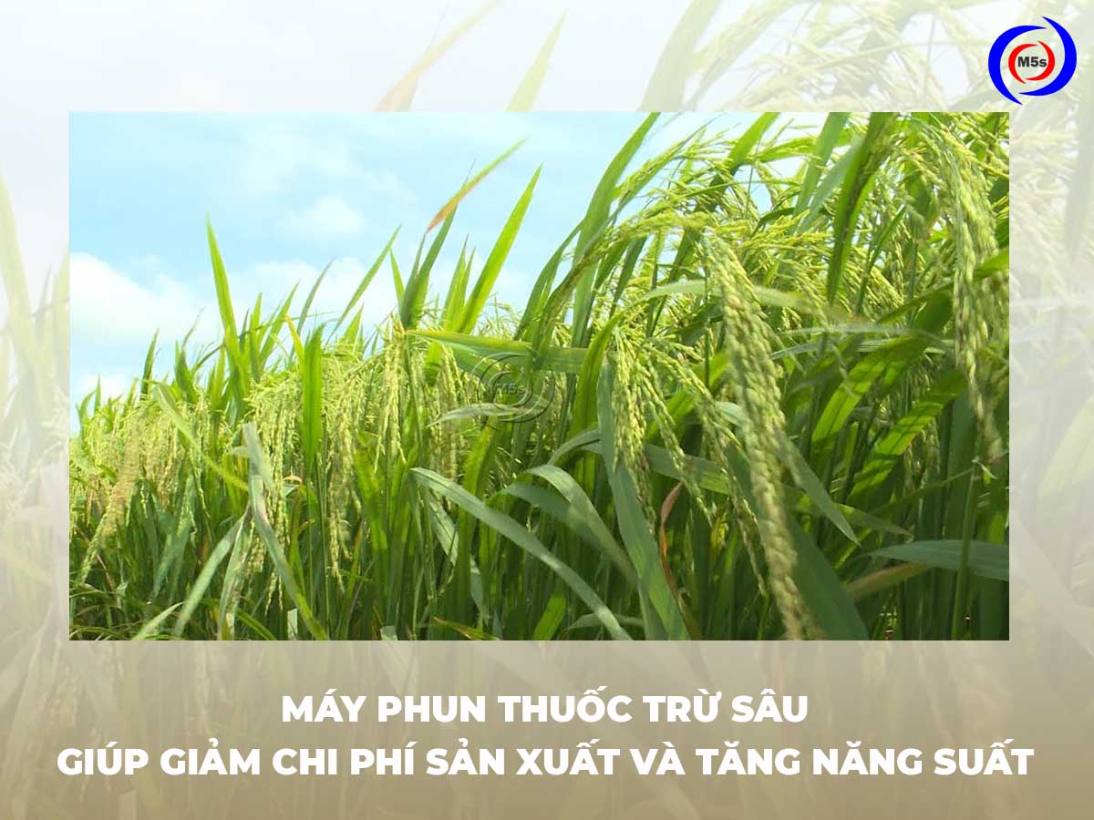 Máy phun thuốc trừ sâu bảo vệ sức khỏe người nông dân 