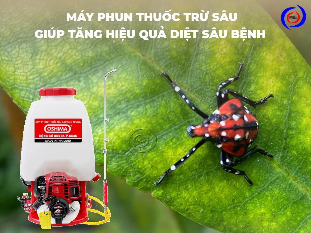 Máy phun thuốc trừ sâu giúp tăng hiệu quả diệt sâu bệnh 