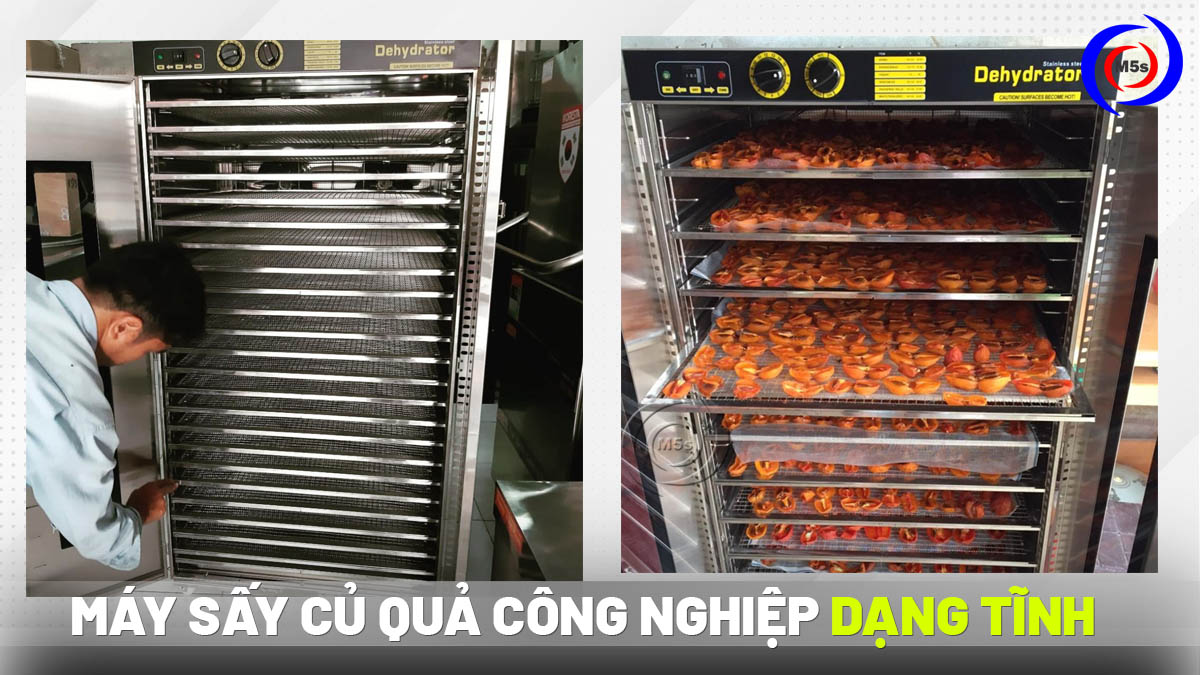 Máy sấy củ quả công nghiệp dạng tĩnh 