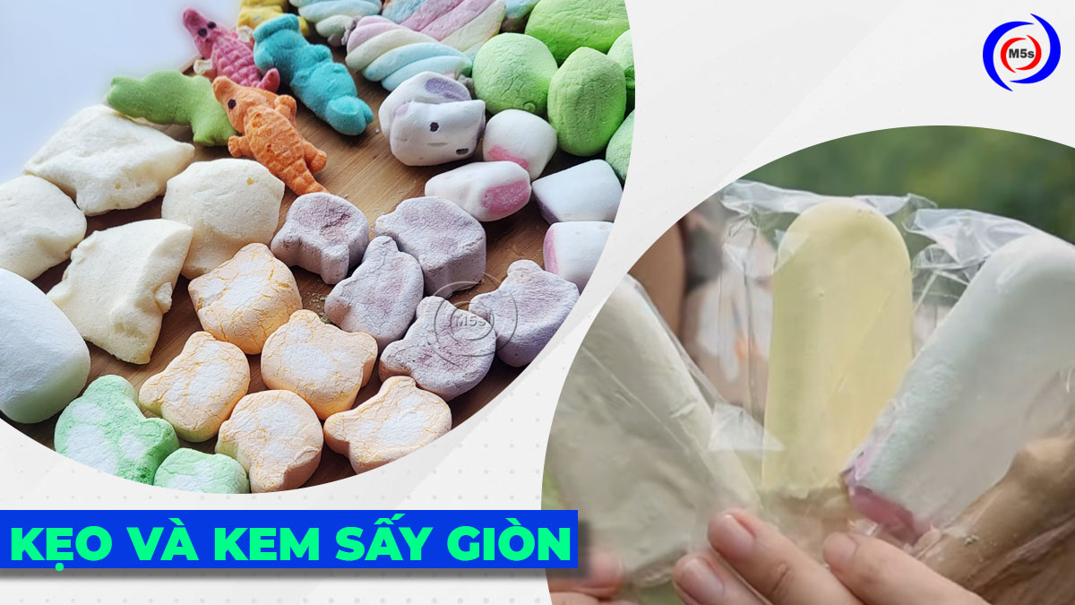 Máy sấy kẹo và kem sấy giòn