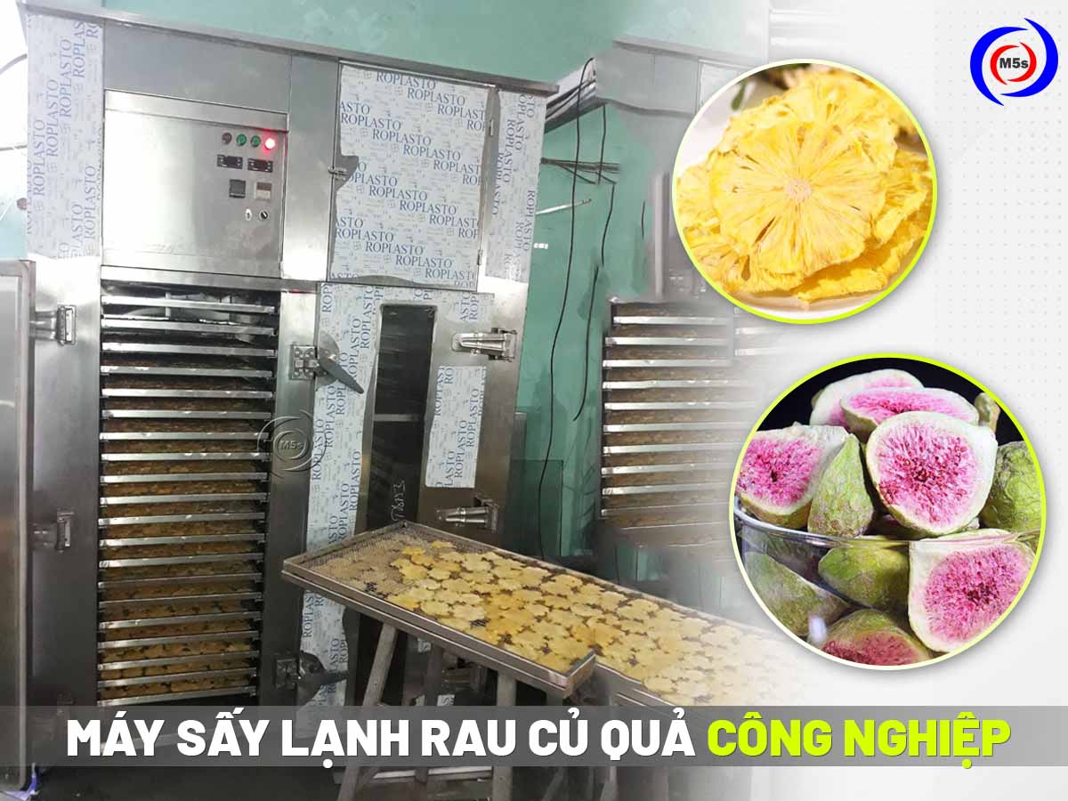 Máy sấy lạnh rau củ quả công nghiệp
