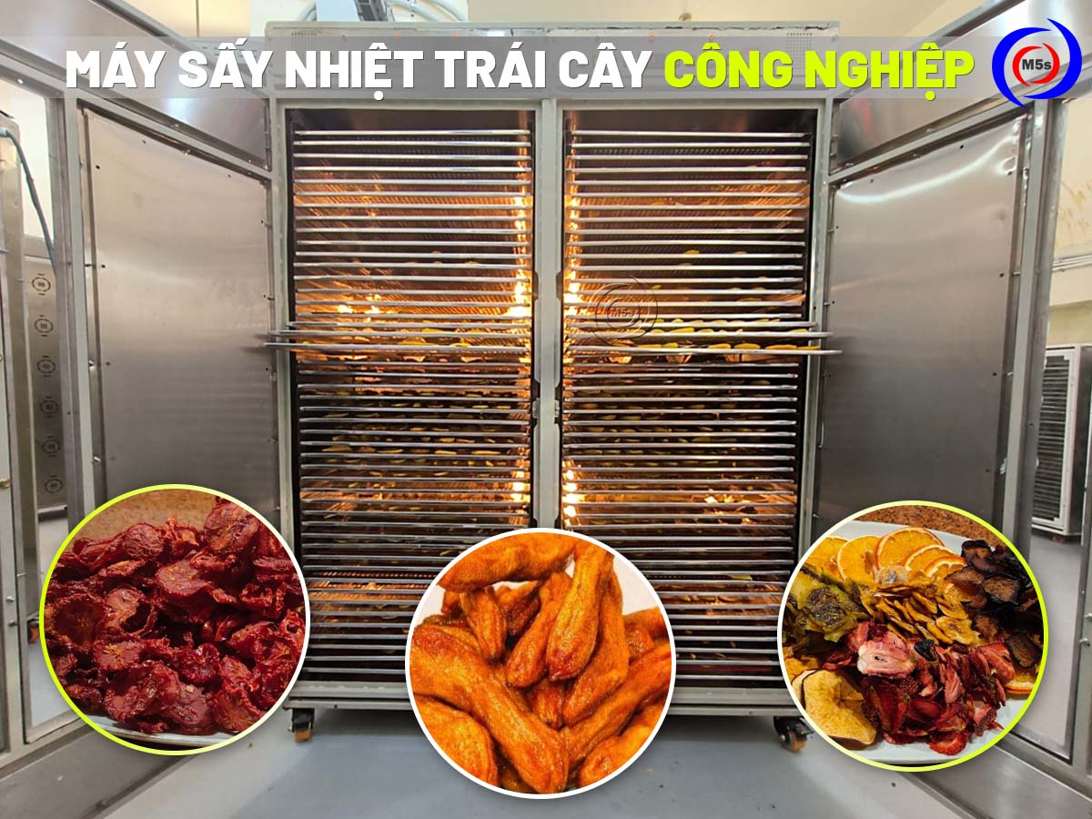 Máy sấy nhiệt trái cây công nghiệp