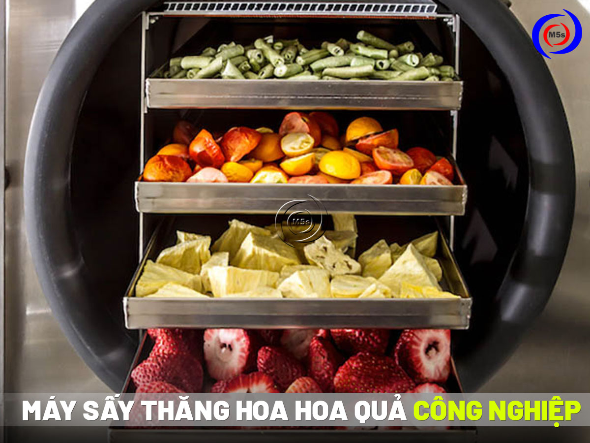 Máy sấy thăng hoa hoa quả công nghiệp