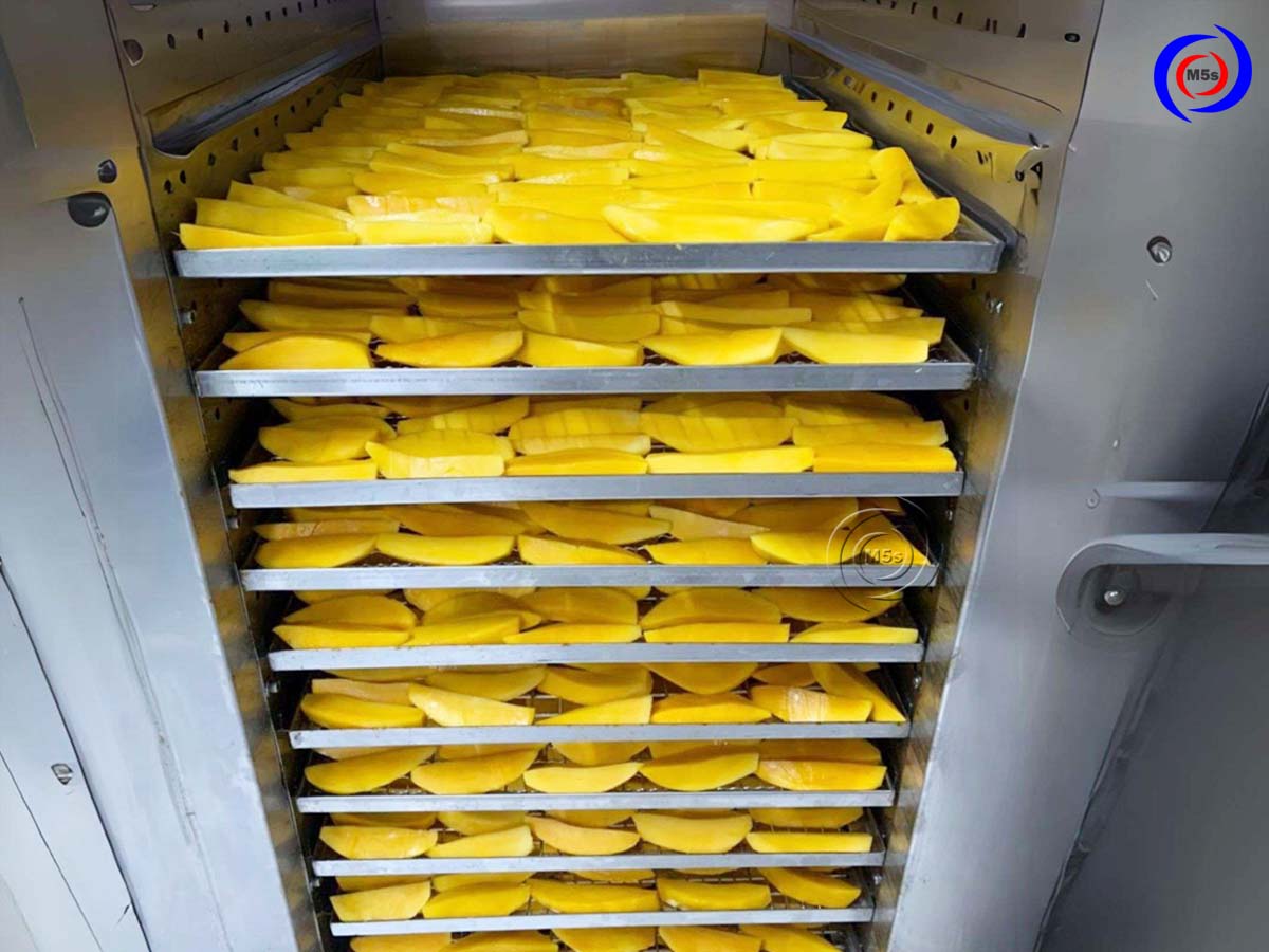 Máy sấy thực phẩm công nghiệp sấy đồ Máy sấy thực phẩm công nghiệp sấy đồ