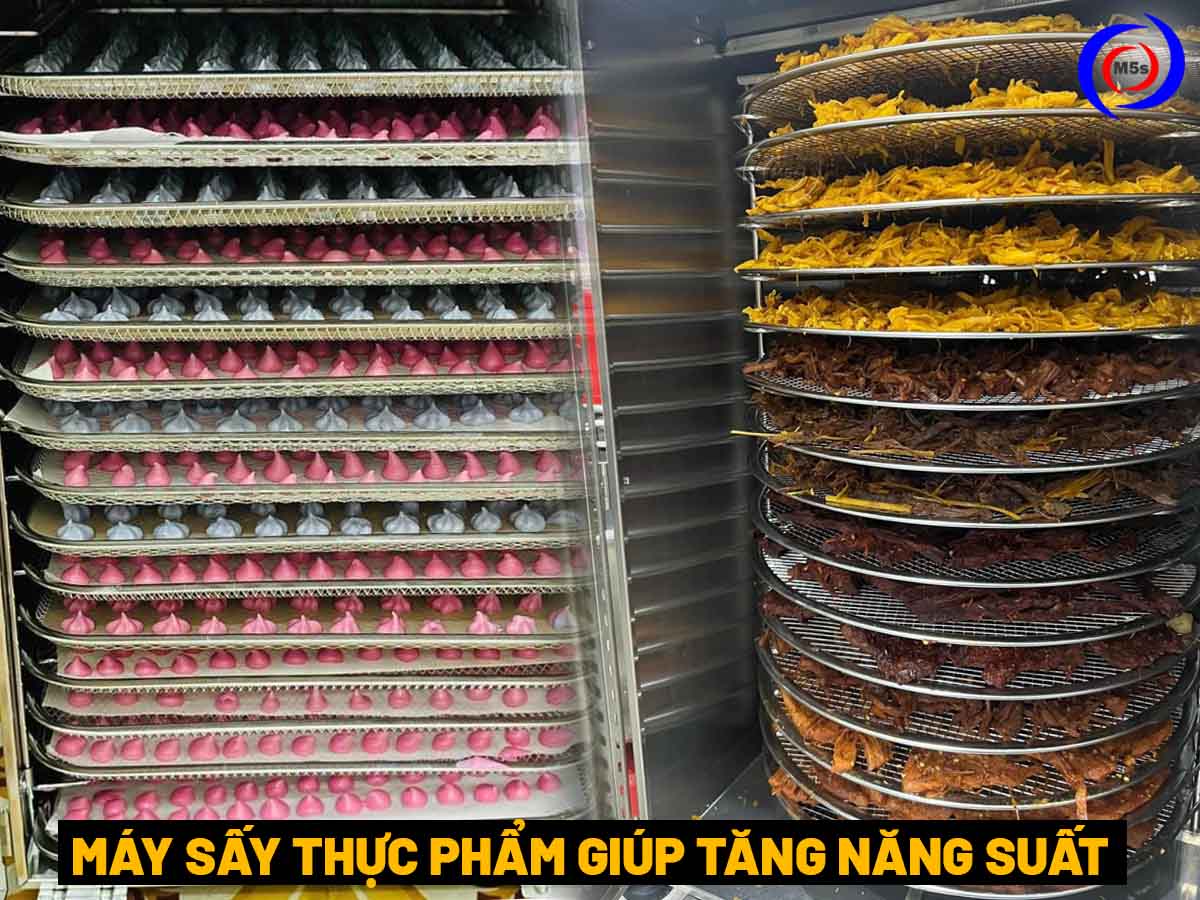 Máy sấy thực phẩm giúp tăng năng suất