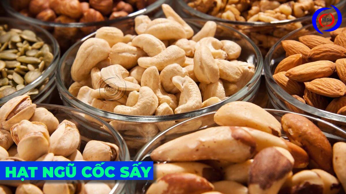 Máy sấy các loại hạt, ngũ cốc