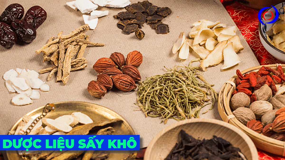 Máy sấy dược liệu