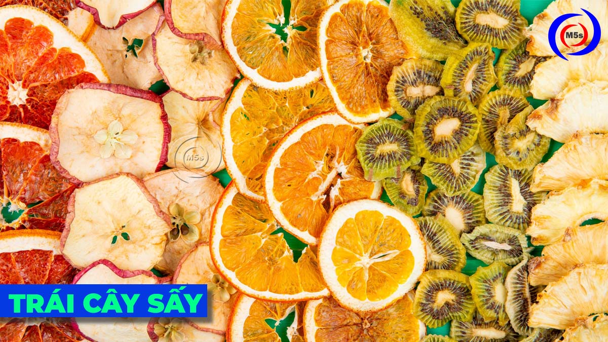 Máy sấy thực phẩm sấy trái cây