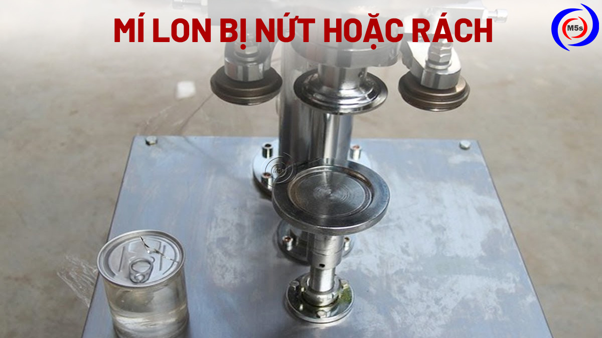 Mí lon bị rách