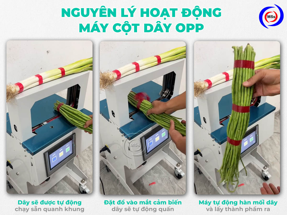 Nguyên lý hoạt động máy cột dây rau củ