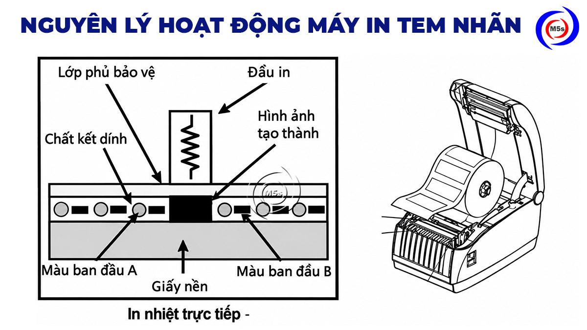 nguyên lý hoạt động của máy in tem nhãn decal