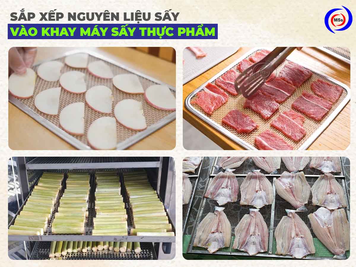 Sắp xếp nguyên liệu vào khay máy sấy thực phẩm
