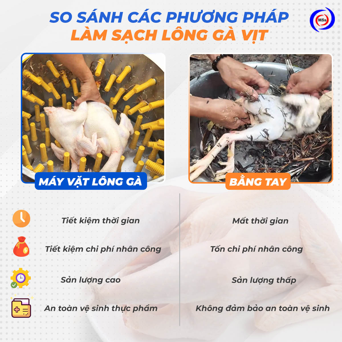 So sánh vặt lông gà bằng tay và bằng máy vặt lông gà