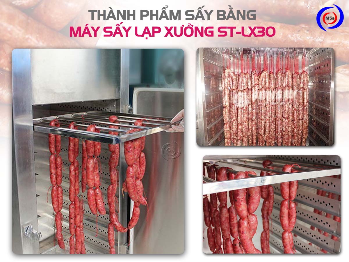 Thành phẩm tủ sấy lạp xưởng, xúc xích ST-LX30 Thành phẩm tủ sấy lạp xưởng, xúc xích ST-LX30