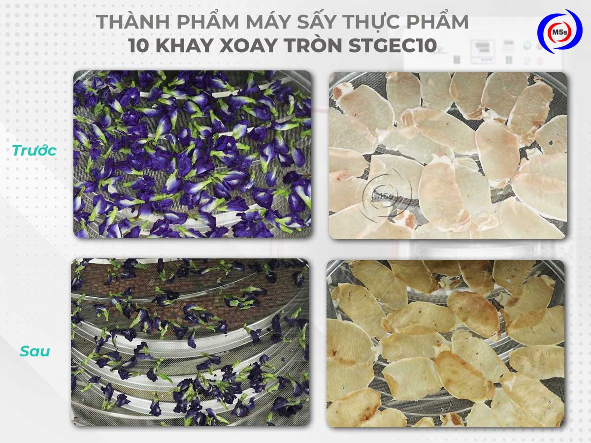 Thành phẩm máy sấy thực phẩm 10 khay xoay tròn ST-GEC10 Thành phẩm máy sấy thực phẩm 10 khay xoay tròn ST-GEC10